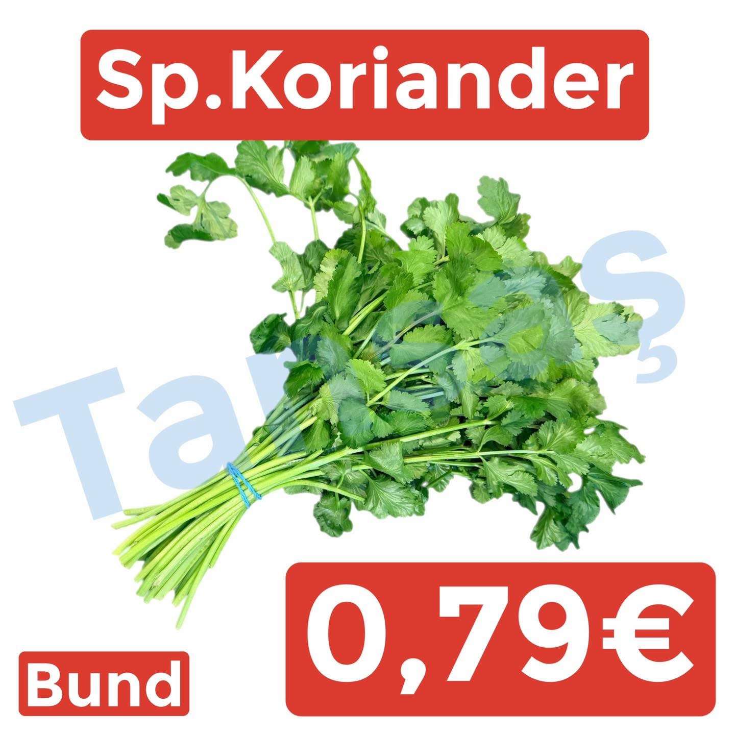 Provider